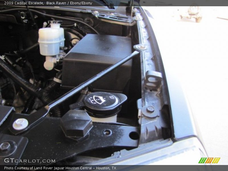 Black Raven / Ebony/Ebony 2009 Cadillac Escalade