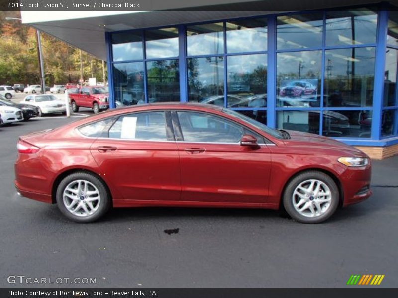 Sunset / Charcoal Black 2014 Ford Fusion SE