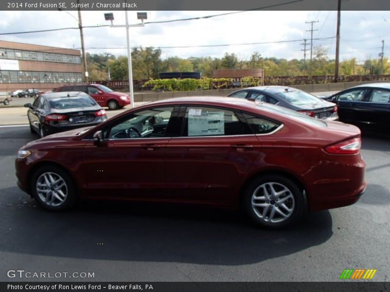Sunset / Charcoal Black 2014 Ford Fusion SE