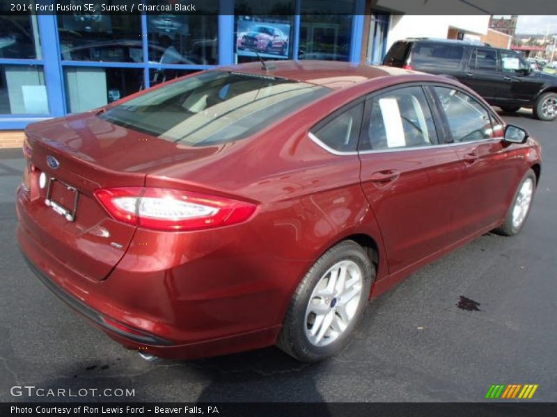 Sunset / Charcoal Black 2014 Ford Fusion SE