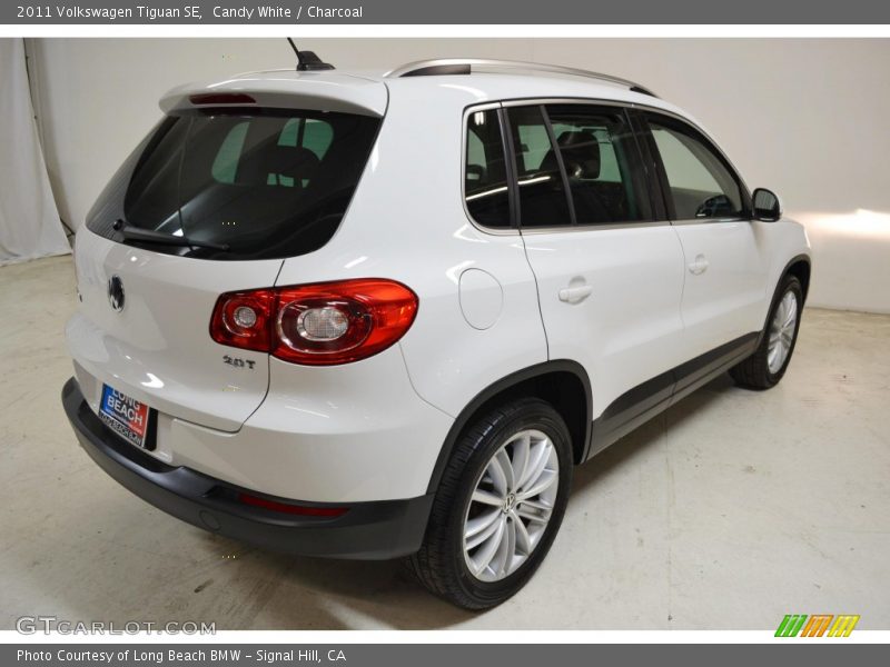 Candy White / Charcoal 2011 Volkswagen Tiguan SE