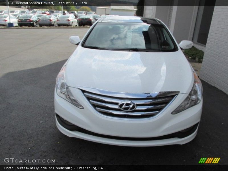 Pearl White / Black 2014 Hyundai Sonata Limited