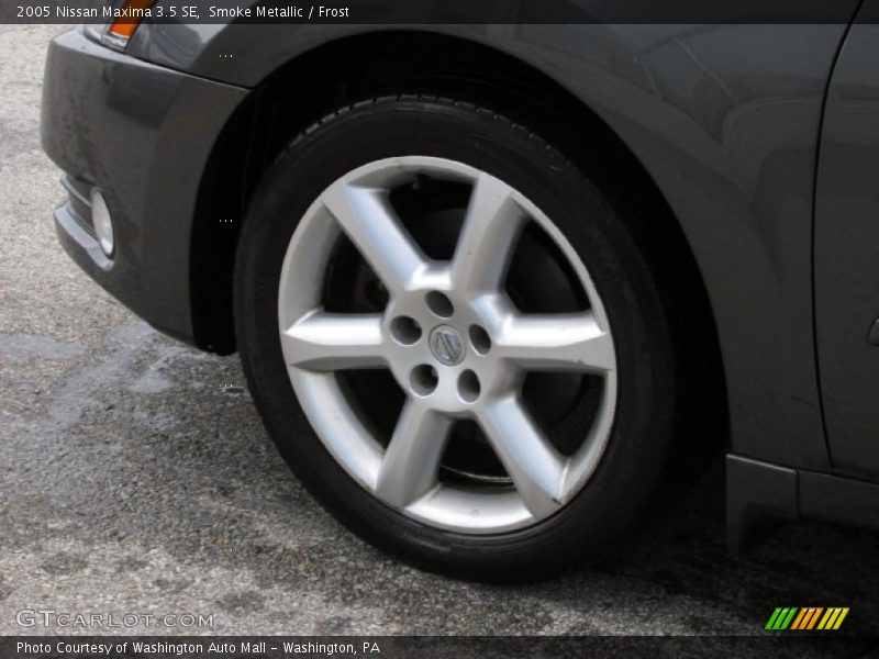 Smoke Metallic / Frost 2005 Nissan Maxima 3.5 SE