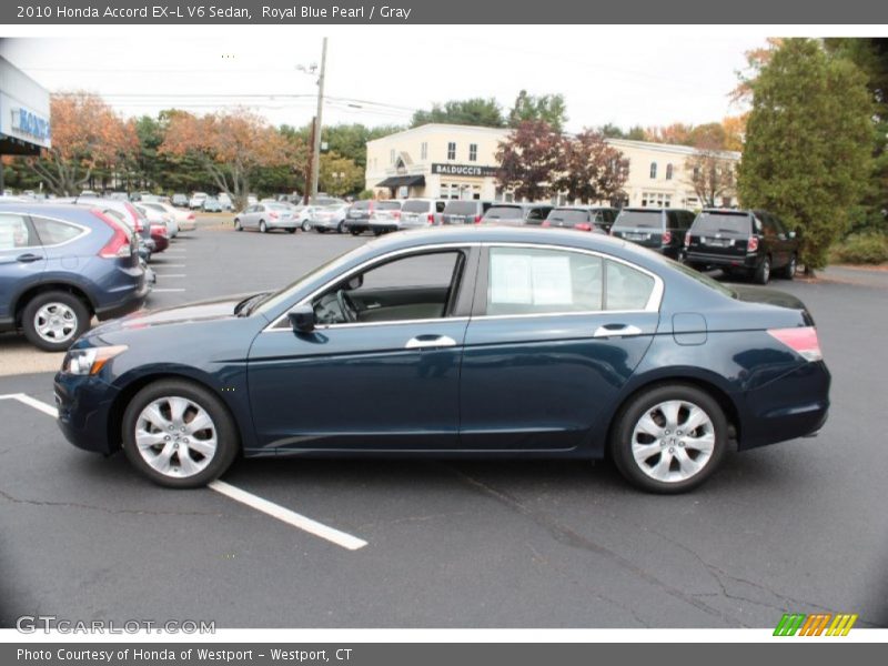 Royal Blue Pearl / Gray 2010 Honda Accord EX-L V6 Sedan