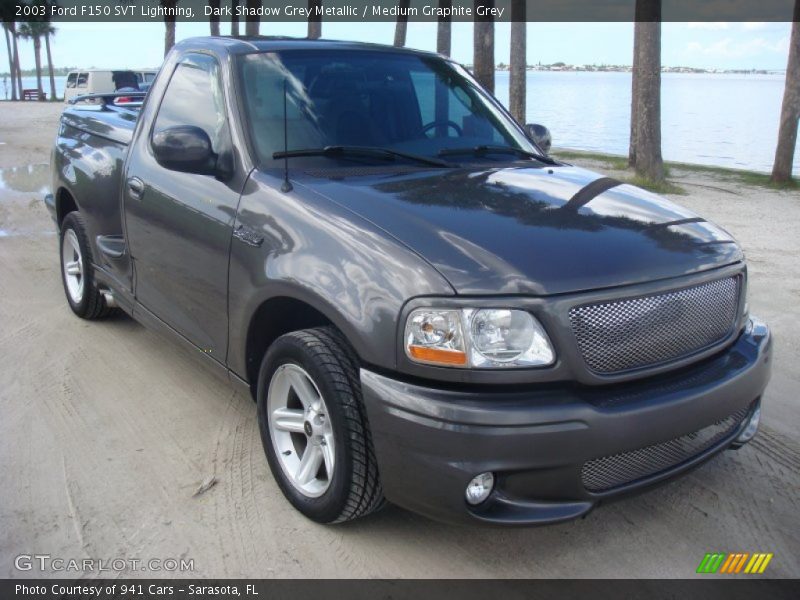 Dark Shadow Grey Metallic / Medium Graphite Grey 2003 Ford F150 SVT Lightning