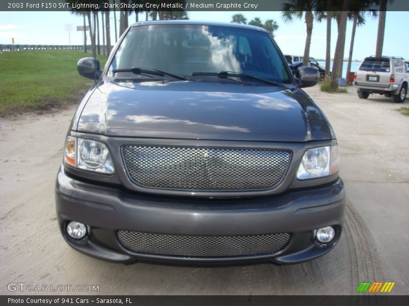 Dark Shadow Grey Metallic / Medium Graphite Grey 2003 Ford F150 SVT Lightning