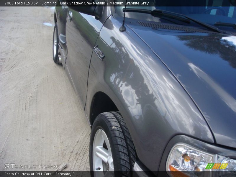 Dark Shadow Grey Metallic / Medium Graphite Grey 2003 Ford F150 SVT Lightning
