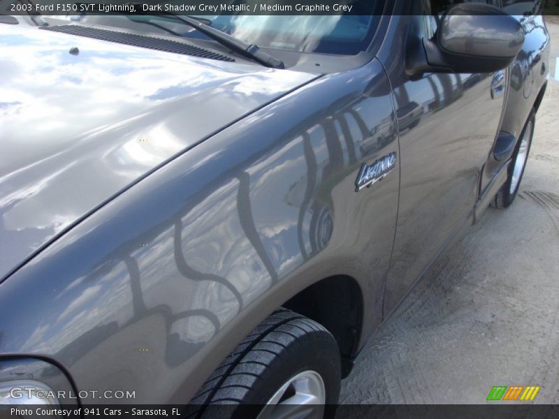 Dark Shadow Grey Metallic / Medium Graphite Grey 2003 Ford F150 SVT Lightning