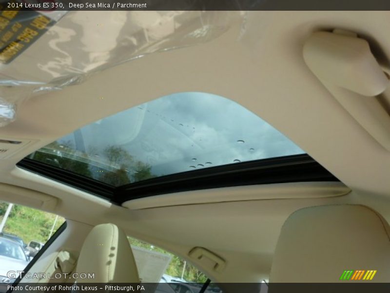 Deep Sea Mica / Parchment 2014 Lexus ES 350