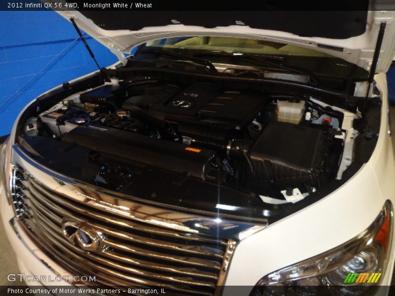Moonlight White / Wheat 2012 Infiniti QX 56 4WD
