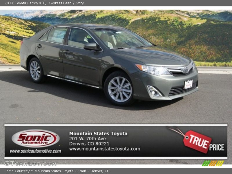 Cypress Pearl / Ivory 2014 Toyota Camry XLE