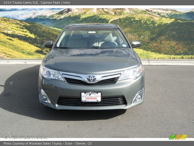 Cypress Pearl / Ivory 2014 Toyota Camry XLE