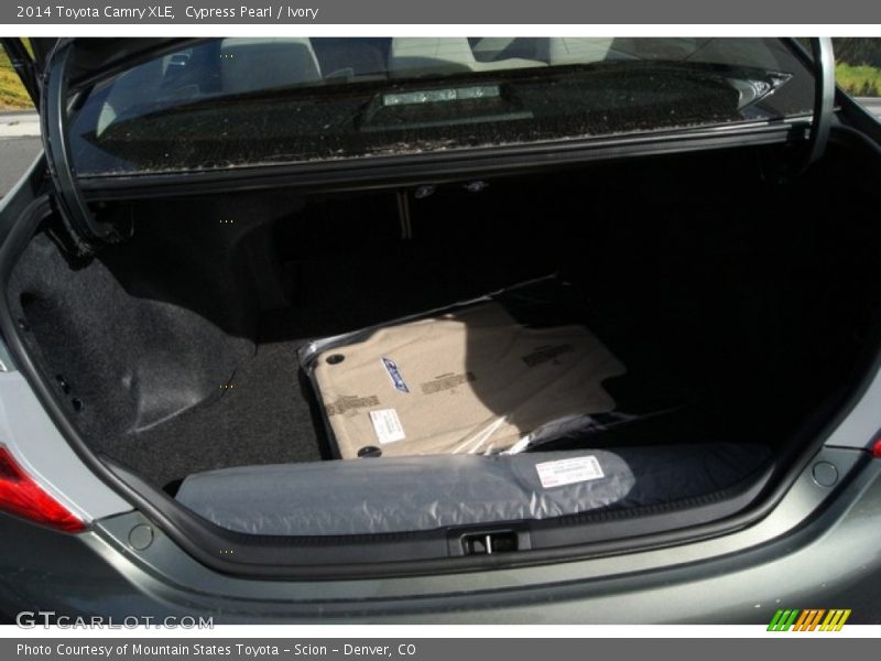 Cypress Pearl / Ivory 2014 Toyota Camry XLE