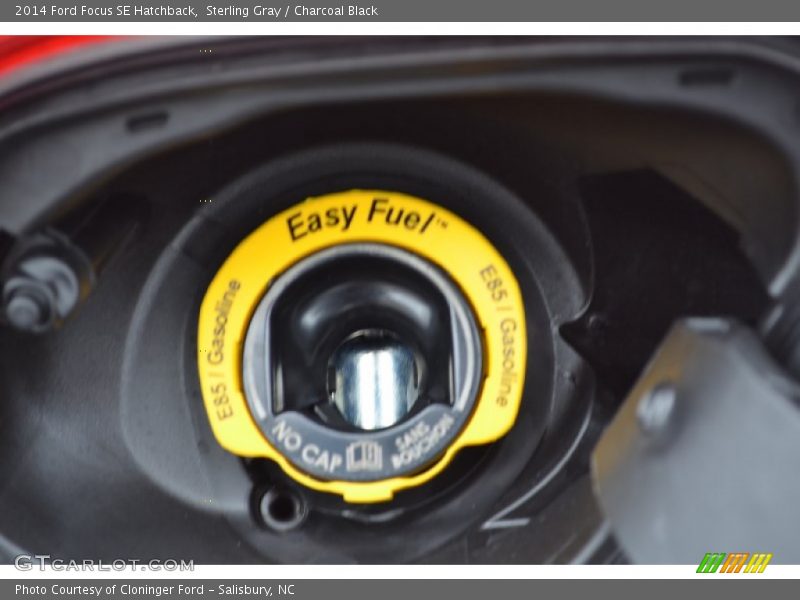 Sterling Gray / Charcoal Black 2014 Ford Focus SE Hatchback