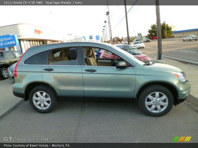 Opal Sage Metallic / Ivory 2011 Honda CR-V SE 4WD