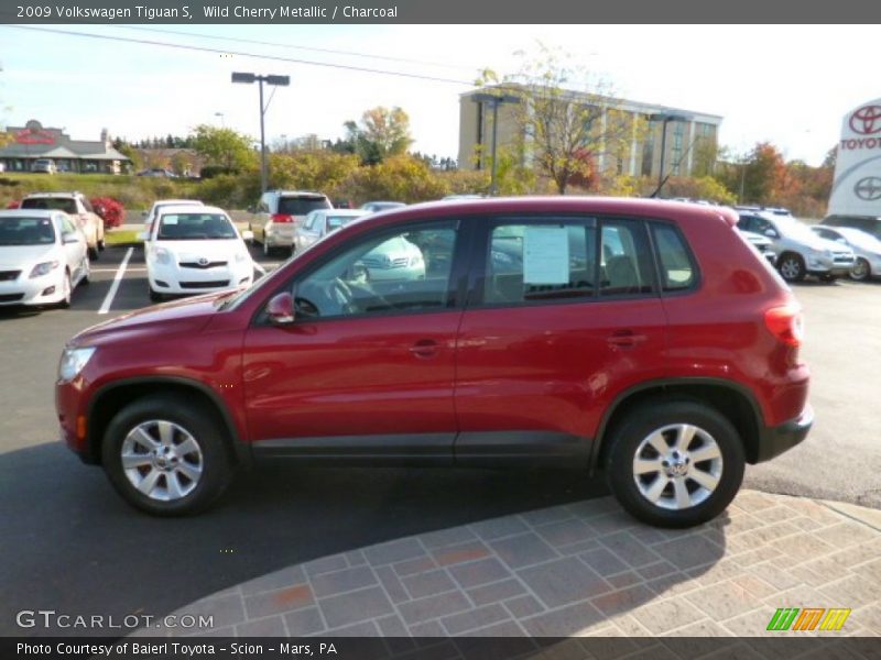 Wild Cherry Metallic / Charcoal 2009 Volkswagen Tiguan S