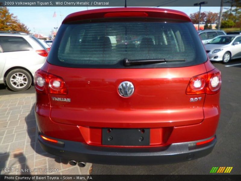 Wild Cherry Metallic / Charcoal 2009 Volkswagen Tiguan S
