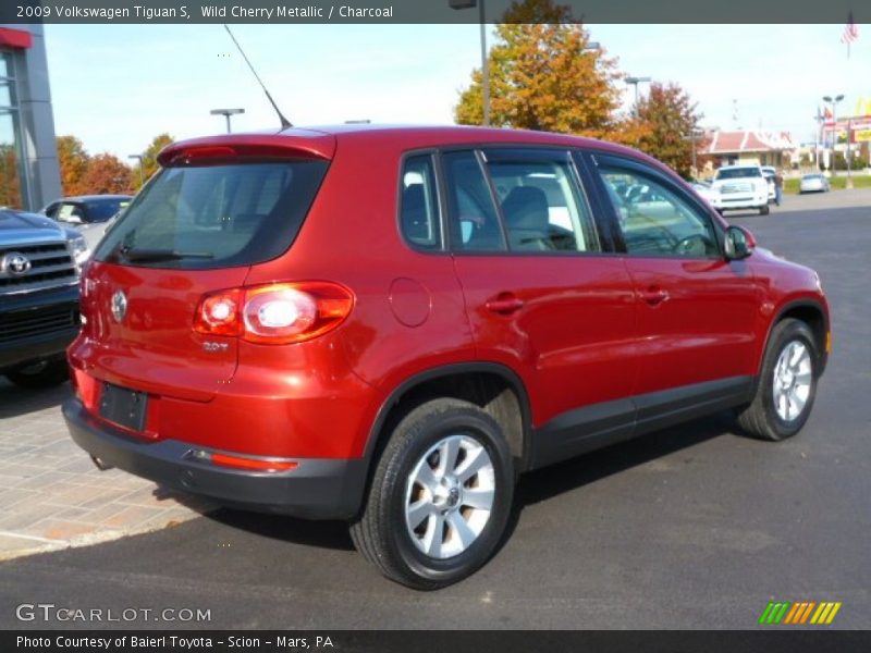 Wild Cherry Metallic / Charcoal 2009 Volkswagen Tiguan S