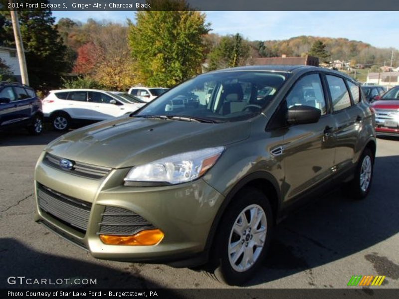 Ginger Ale / Charcoal Black 2014 Ford Escape S
