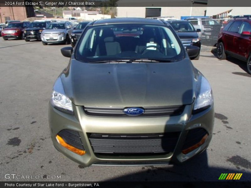 Ginger Ale / Charcoal Black 2014 Ford Escape S