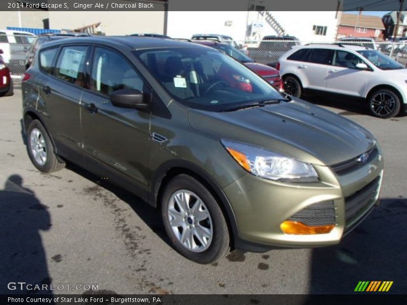 Ginger Ale / Charcoal Black 2014 Ford Escape S