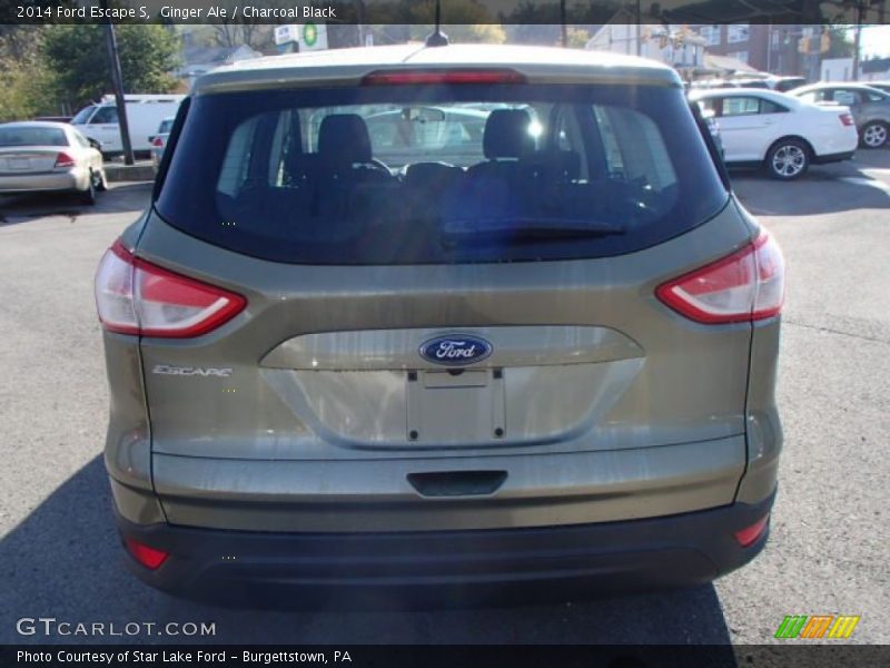 Ginger Ale / Charcoal Black 2014 Ford Escape S