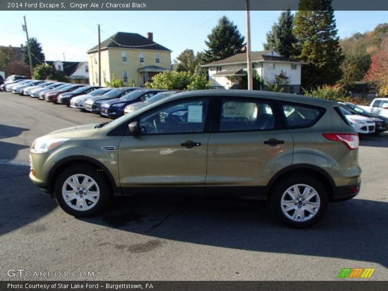 Ginger Ale / Charcoal Black 2014 Ford Escape S