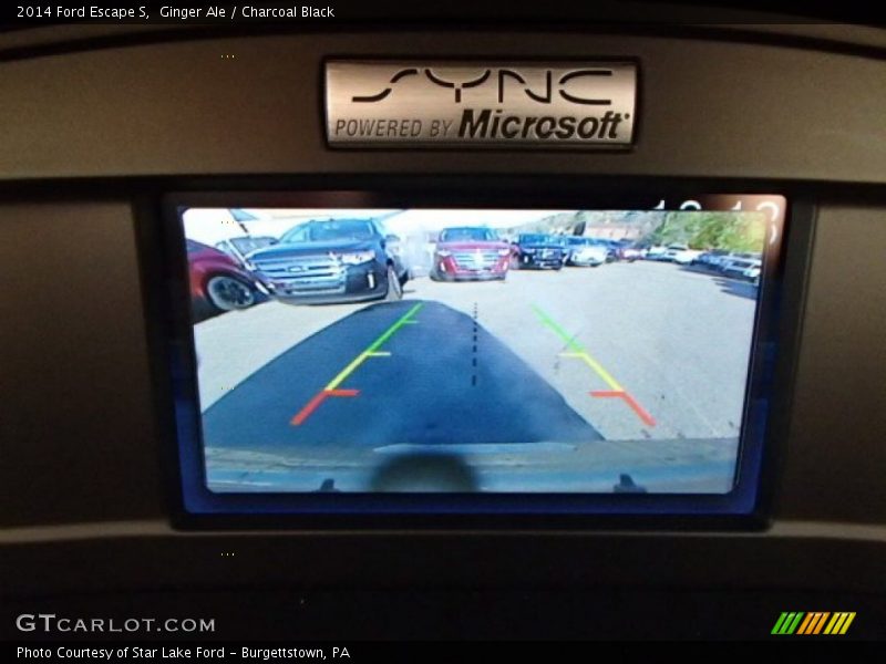 Ginger Ale / Charcoal Black 2014 Ford Escape S