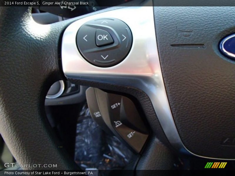 Ginger Ale / Charcoal Black 2014 Ford Escape S