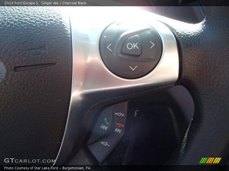 Ginger Ale / Charcoal Black 2014 Ford Escape S