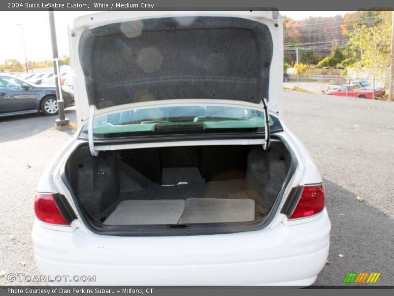 White / Medium Gray 2004 Buick LeSabre Custom