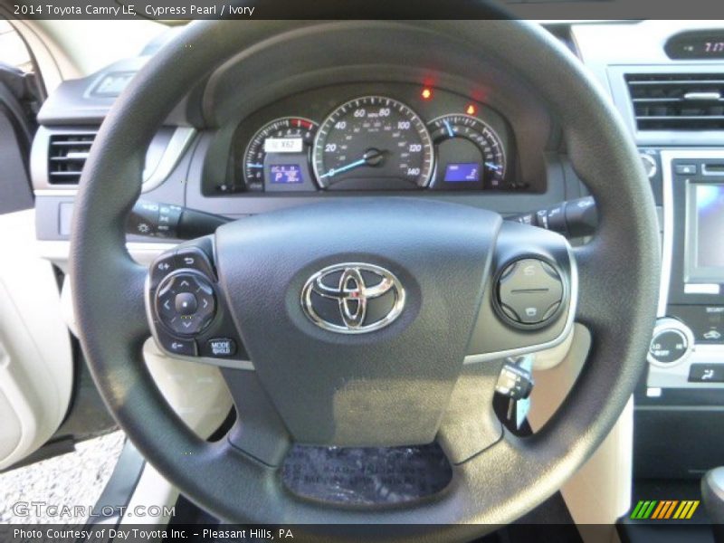 Cypress Pearl / Ivory 2014 Toyota Camry LE
