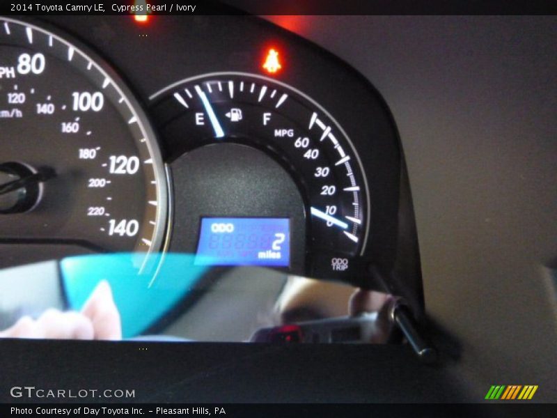 Cypress Pearl / Ivory 2014 Toyota Camry LE