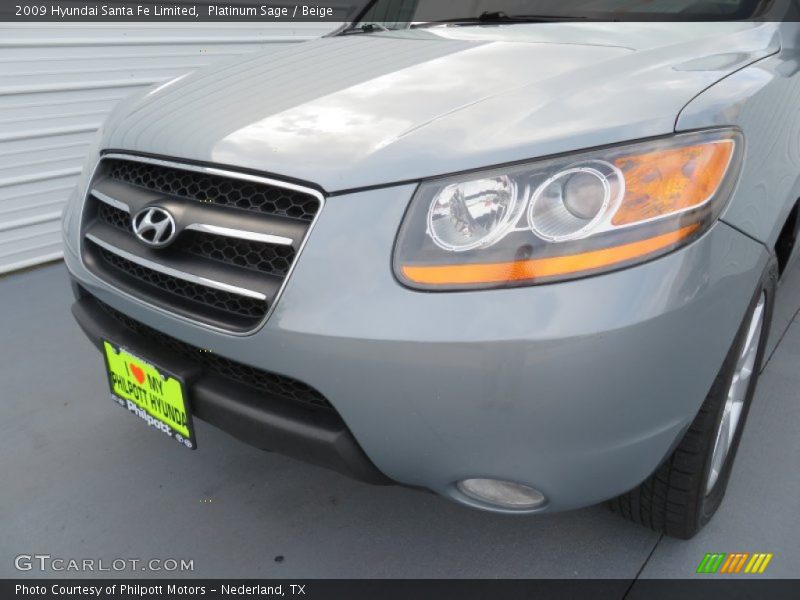 Platinum Sage / Beige 2009 Hyundai Santa Fe Limited