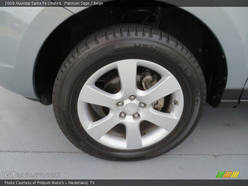 Platinum Sage / Beige 2009 Hyundai Santa Fe Limited