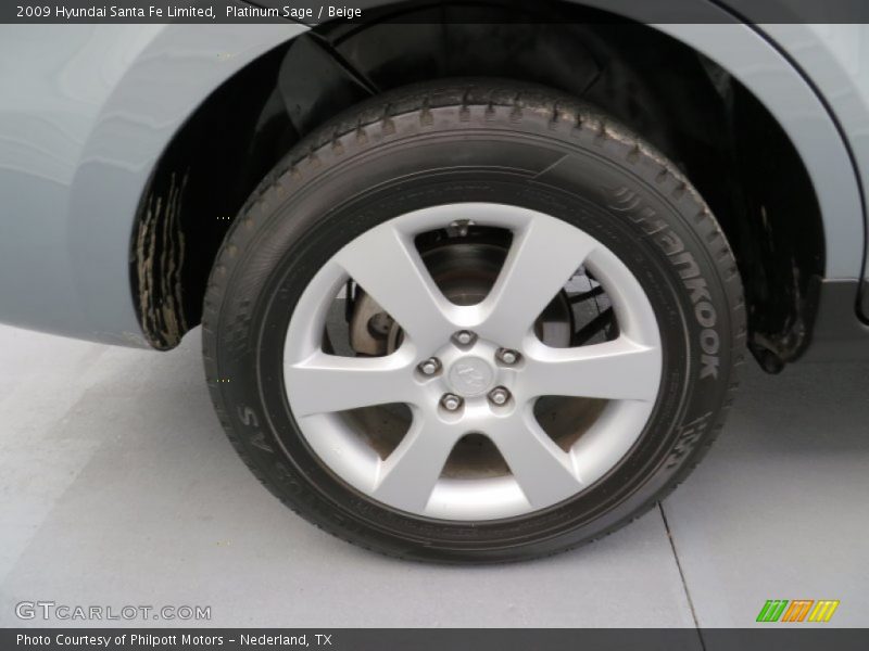Platinum Sage / Beige 2009 Hyundai Santa Fe Limited
