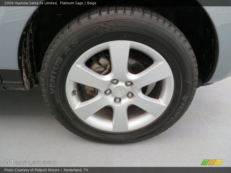 Platinum Sage / Beige 2009 Hyundai Santa Fe Limited