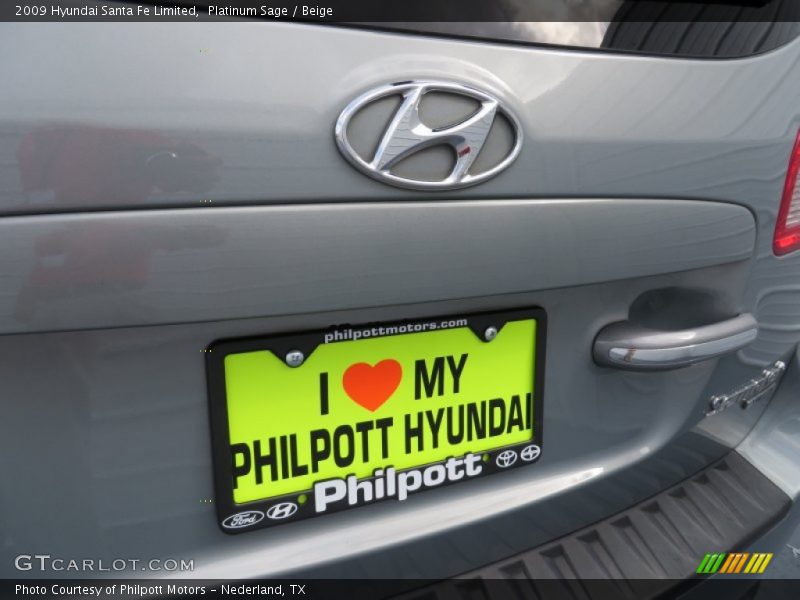 Platinum Sage / Beige 2009 Hyundai Santa Fe Limited