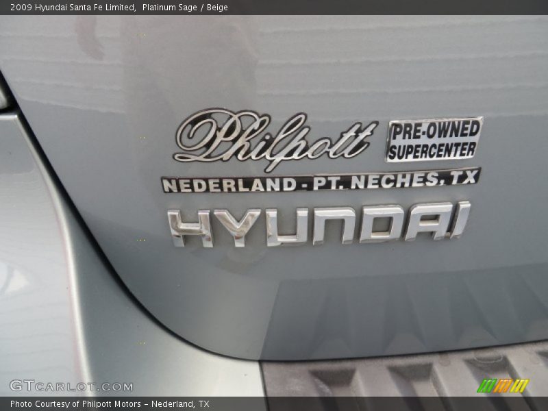 Platinum Sage / Beige 2009 Hyundai Santa Fe Limited