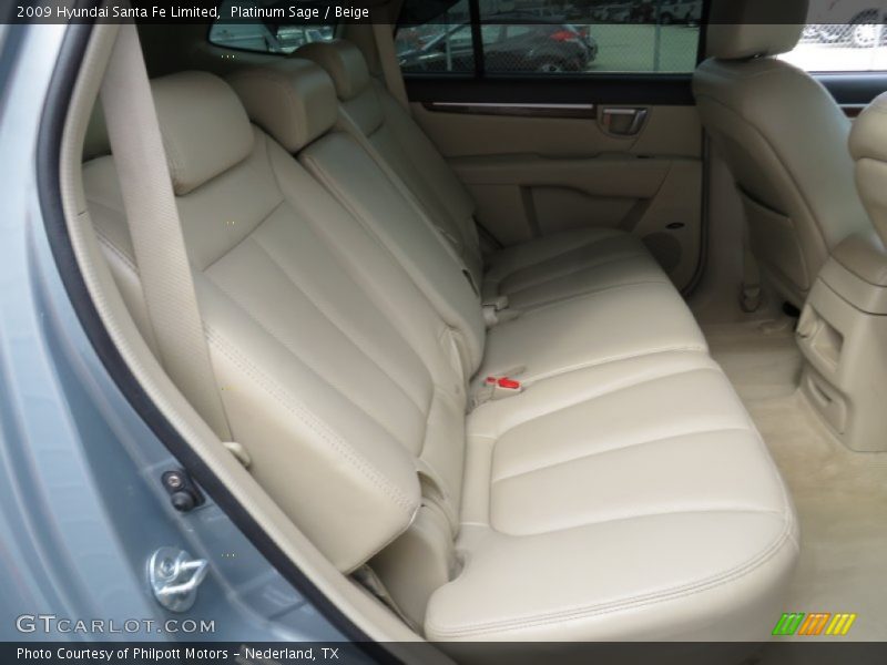 Platinum Sage / Beige 2009 Hyundai Santa Fe Limited