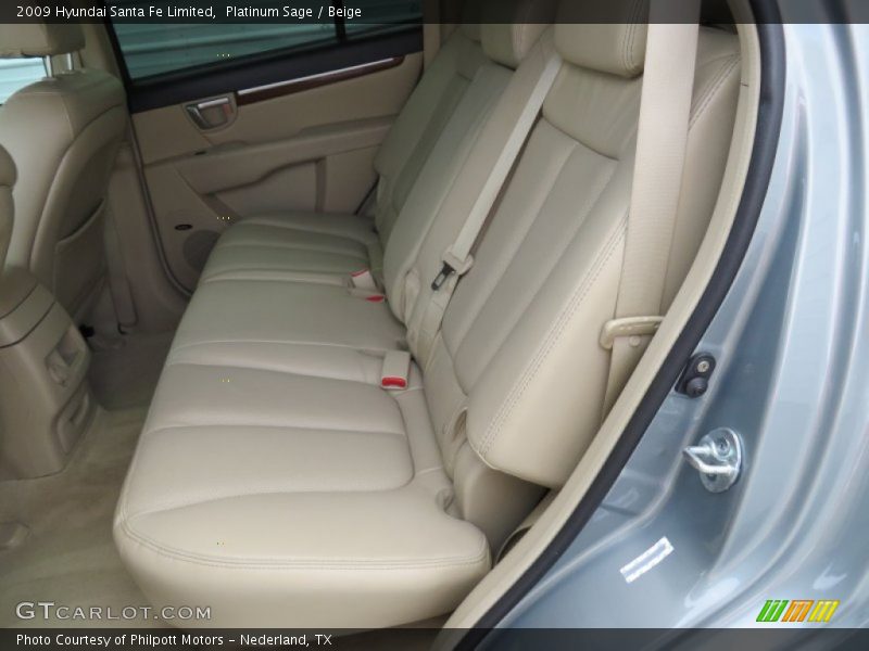 Platinum Sage / Beige 2009 Hyundai Santa Fe Limited