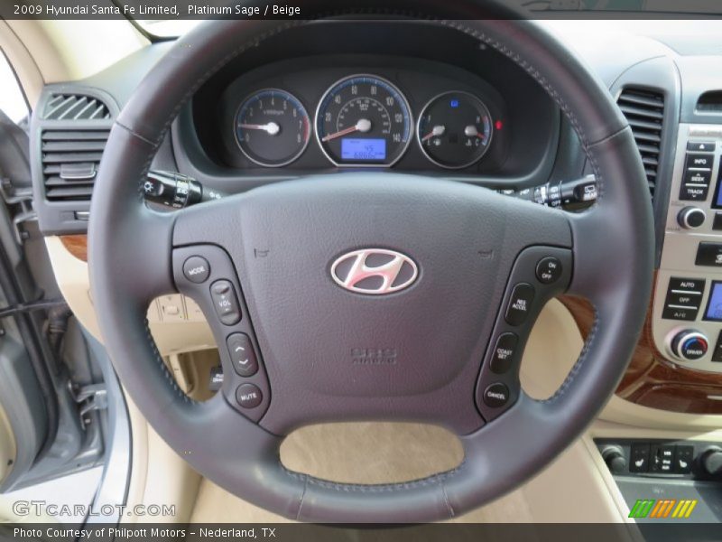 Platinum Sage / Beige 2009 Hyundai Santa Fe Limited