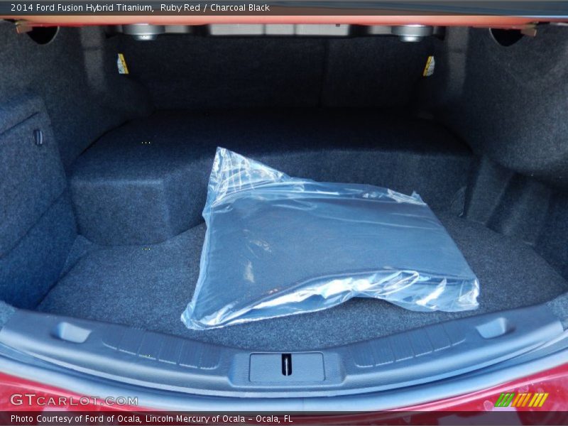  2014 Fusion Hybrid Titanium Trunk