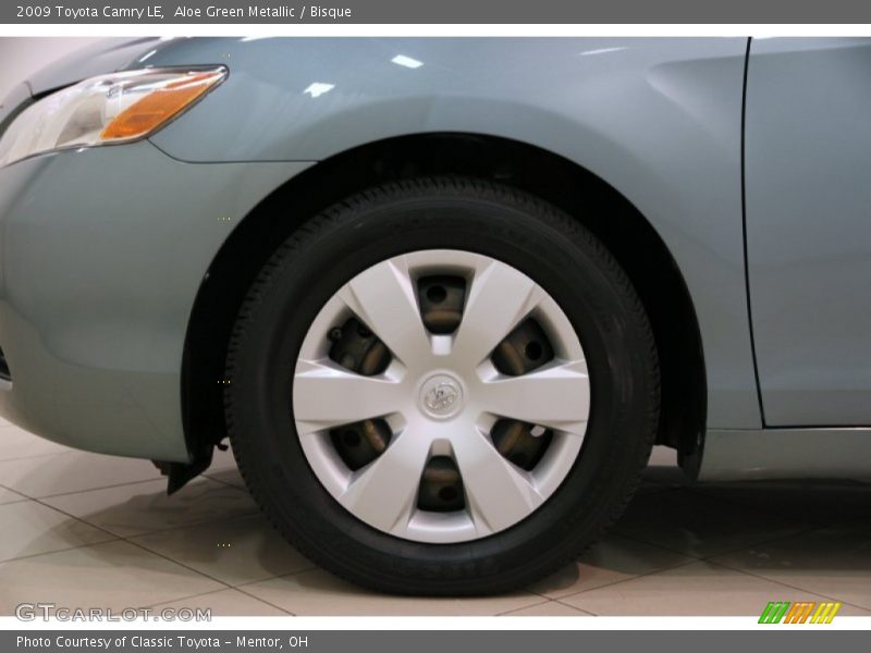 Aloe Green Metallic / Bisque 2009 Toyota Camry LE