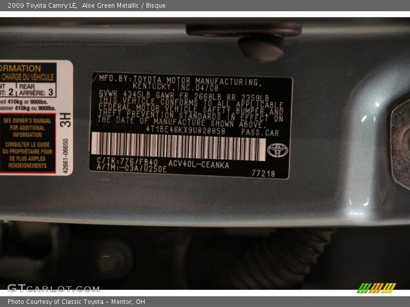 Aloe Green Metallic / Bisque 2009 Toyota Camry LE