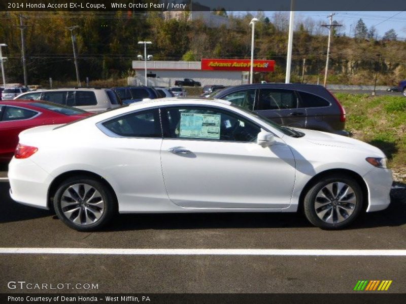  2014 Accord EX-L Coupe White Orchid Pearl
