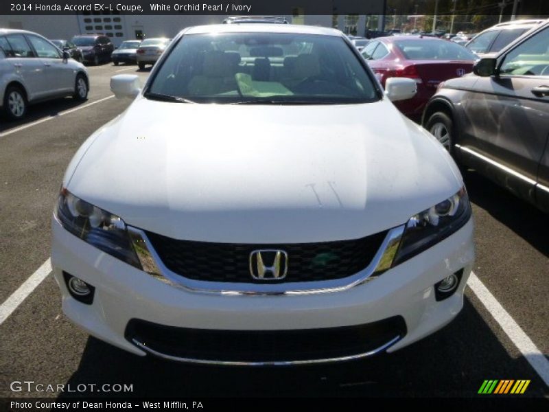 White Orchid Pearl / Ivory 2014 Honda Accord EX-L Coupe