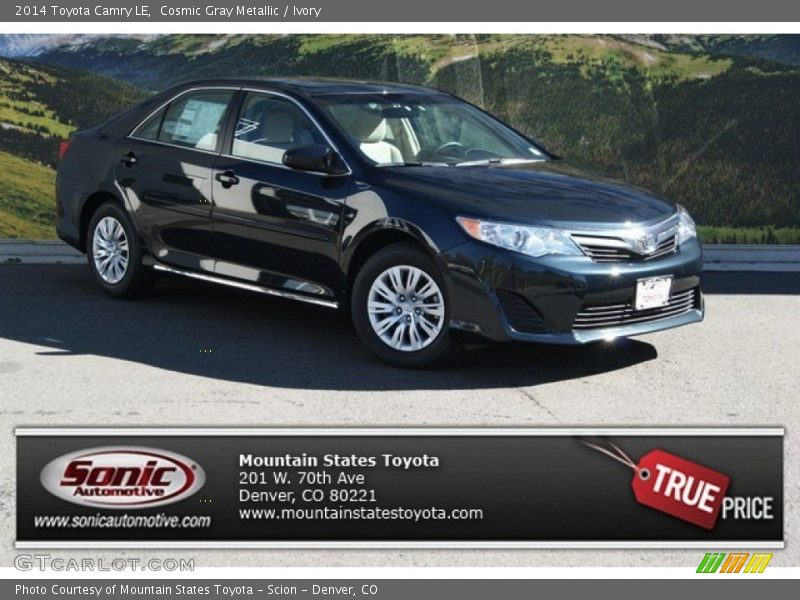 Cosmic Gray Metallic / Ivory 2014 Toyota Camry LE