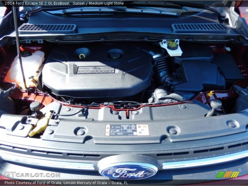 Sunset / Medium Light Stone 2014 Ford Escape SE 2.0L EcoBoost