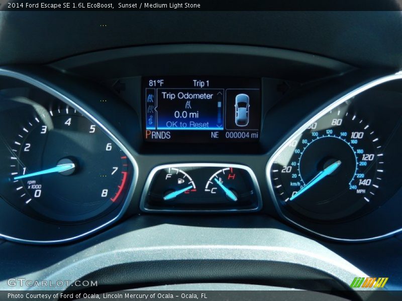 Sunset / Medium Light Stone 2014 Ford Escape SE 1.6L EcoBoost